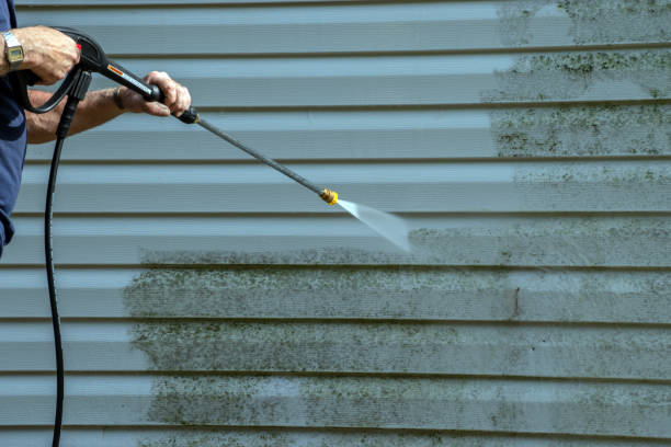 Best Solar Panel Cleaning  in Kearney, MO